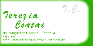 terezia csatai business card