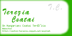 terezia csatai business card